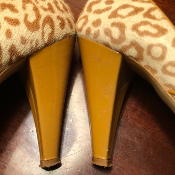 Massimo Baldi - Picture 3 of 5